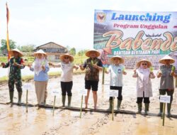 Usai Bajak Gratis, Kini Babendi! Cara Unik Bupati Tanah Datar Dongkrak Pendapatan Petani