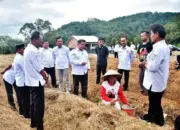 Serap Aspirasi Masyarakat Terpencil, Bupati Agam Turun ke Ladang di Pelosok Nagari