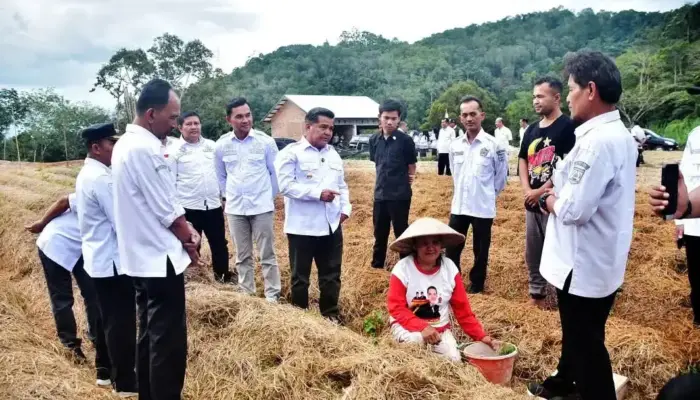 Serap Aspirasi Masyarakat Terpencil, Bupati Agam Turun ke Ladang di Pelosok Nagari
