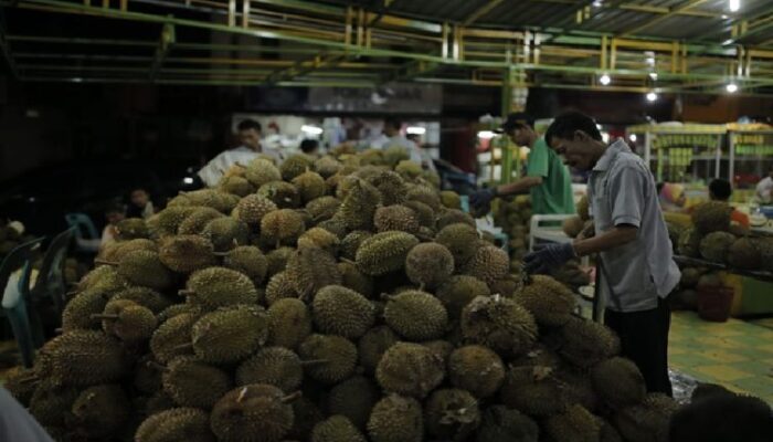 Indonesia Kewalahan Diserbu Berton-ton Durian Malaysia, Petani Lokal Terancam!