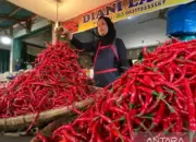 Pasokan Melimpah, Harga Cabai Merah Mulai Turun di Sumbar