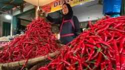Pasokan Melimpah, Harga Cabai Merah Mulai Turun di Sumbar