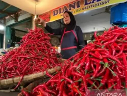 Pasokan Melimpah, Harga Cabai Merah Mulai Turun di Sumbar