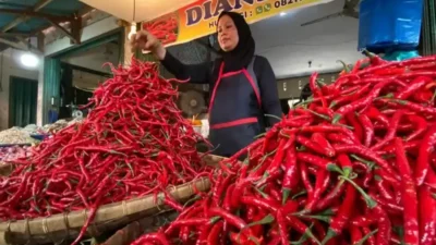 Pasokan Melimpah, Harga Cabai Merah Mulai  Turun Harga di Sumbar