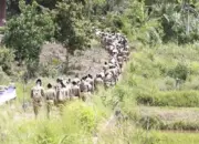 Praja IPDN Sumatera Barat Gelar Kemah Juang dan Bakti Sosial di Tanah Datar