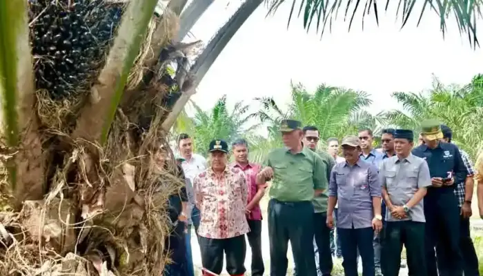 Gubernur Sumbar Apresiasi Panen Perdana Sawit di Nagari Salareh Aia Barat Agam