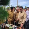 Lepas Ekspor 27 Ton Gambir Sumbar ke India, Mendag Berharap Ada Hilirisasi Seperti Ginseng
