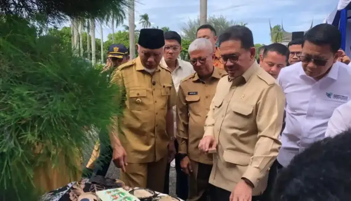 Lepas Ekspor 27 Ton Gambir Sumbar ke India, Mendag Berharap Ada Hilirisasi Seperti Ginseng