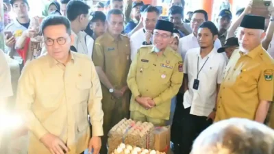 Harga Stabil, Mendag Apresiasi Ekosistem Perdagangan di Pasar Raya Padang Lancar  