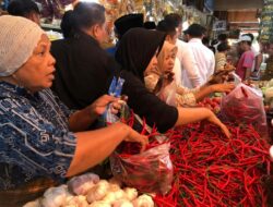Cabai Mulai Langka di Padang, Harganya Pun Melejit Tembus Rp160 Ribu Per Kilongram