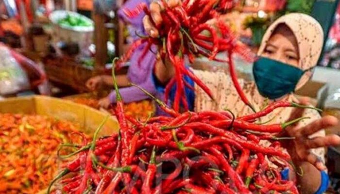 Lonjakan Harga Cabai di Padang Ngeri! Pagi Rp160 Ribu/Kg, Siang Tembus Rp230 Ribu
