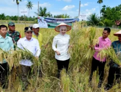 Berdayakan BUMNag, Pemkab Agam Gunakan 20% Dana Desa untuk Tingkatkan Ekonomi Nagari