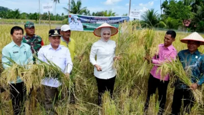 Berdayakan BUMNag, Pemkab Agam Gunakan 20% Dana Desa untuk Tingkatkan Ekonomi Nagari