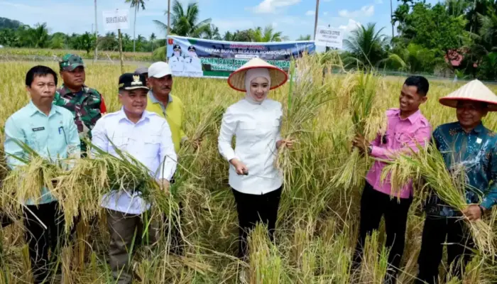 Berdayakan BUMNag, Pemkab Agam Gunakan 20% Dana Desa untuk Tingkatkan Ekonomi Nagari