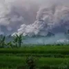 Gunung Simeru Meletus, Kabupaten Lumajang dalam Status Darurat
