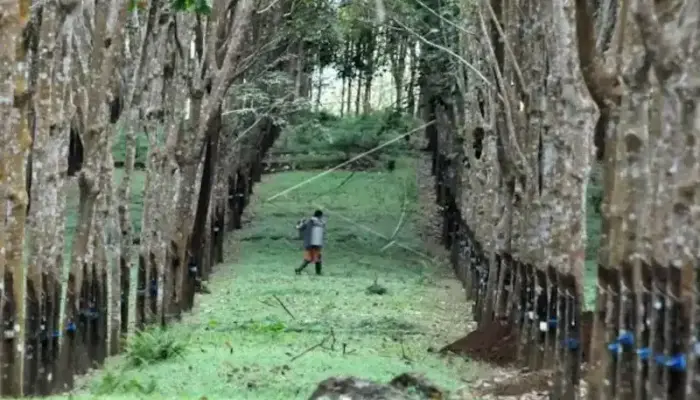 CERPEN: Bara di Ujung Terowongan Sijunjung