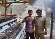 Telur Pertama Program OVOP Membuka Jendela Masa Depan Warga Tiumang