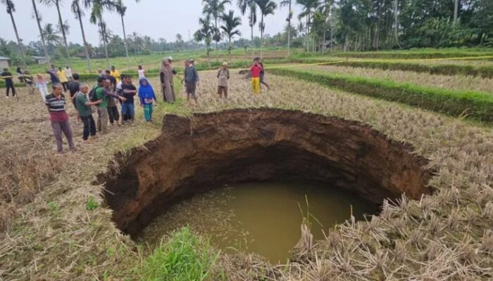 Kata Ahli Geologi Soal Tanah Berlubang Besar yang Gegerkan Nagari Situjuah Limapuluh Kota