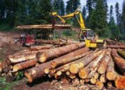 Presiden Cabut Izin 28 Perusahaan Penyebab Banjir Sumatera, Siapakah Pemiliknya?