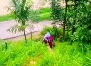 Mengharukan! Anak SD Batu Busuk Penuh Semangat Mendaki Bukit Pergi Sekolah, Karena Jalan Putus