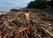 Daftar 8 Perusahaan Diduga Perusak Hutan di Sumbar, Izinnya Sudah Dicabut Presiden!