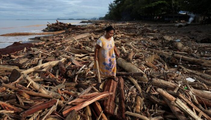 Daftar 8 Perusahaan Diduga Perusak Hutan di Sumbar, Izinnya Sudah Dicabut Presiden!