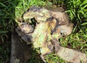 Tim Pencairan Mulai Temukan Badan-Ekor Pesawat ATR 42-500 di Lereng Puncak Bulusaraung