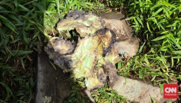 Tim Pencairan Mulai Temukan Badan-Ekor Pesawat ATR 42-500 di Lereng Puncak Bulusaraung