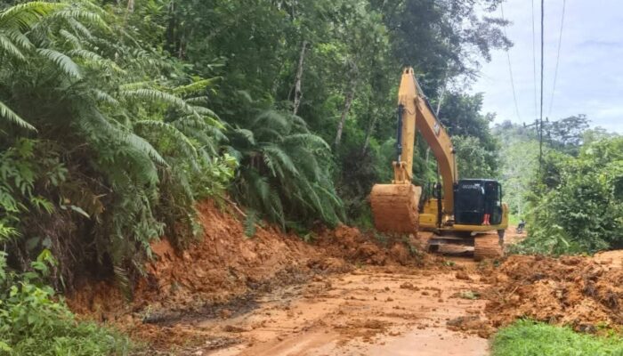 Putus Akibat Banjir dan Longsor, Akses Jalan dan Listrik di Nagari Banai Dharmasraya Kembali Pulih