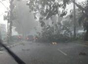 Daftar Daerah Berpotensi Hujan Badai dan Petir Sepekan ke Depan, Tak Ada Sumatera Barat