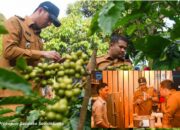 Kolaborasi Poktan-UMKM Sukses Kembangkan Hilirisasi Kopi Arang dari Kebun sampai ke Coffee Shop