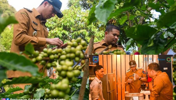 Kolaborasi Poktan-UMKM Sukses Kembangkan Hilirisasi Kopi Arang dari Kebun sampai ke Coffee Shop