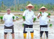 Ribuan Lahan Pertanian Rusak Akibat Galodo di Sumbar Tuntas Direhabilitasi 