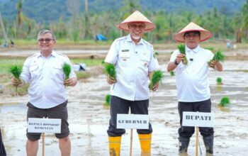 Ribuan Lahan Pertanian Rusak Akibat Galodo di Sumbar Tuntas Direhabilitasi 