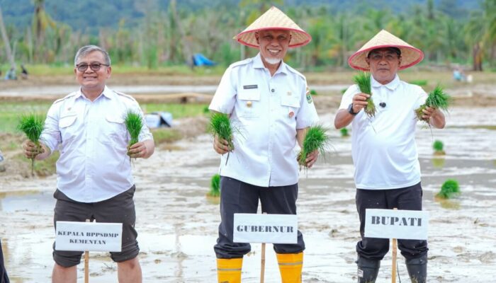 Ribuan Lahan Pertanian Rusak Akibat Galodo di Sumbar Tuntas Direhabilitasi 