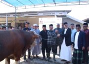 Sapi Limosin, Hewan Kurban dari Presiden Prabowo Disembelih di Nagari Tanjung Durian Bayang