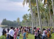 Anak 9 Tahun Hilang Terseret Ombak Pantai Pasie Buayo Putiah Nagari Taratak Pesisir Selatan
