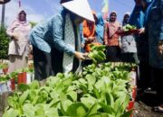 Nagari Lingkuang Aua Bandarajo Pasaman Barat Dinilai TP-PKK Sumbar