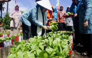 Nagari Lingkuang Aua Bandarajo Pasaman Barat Dinilai TP-PKK Sumbar
