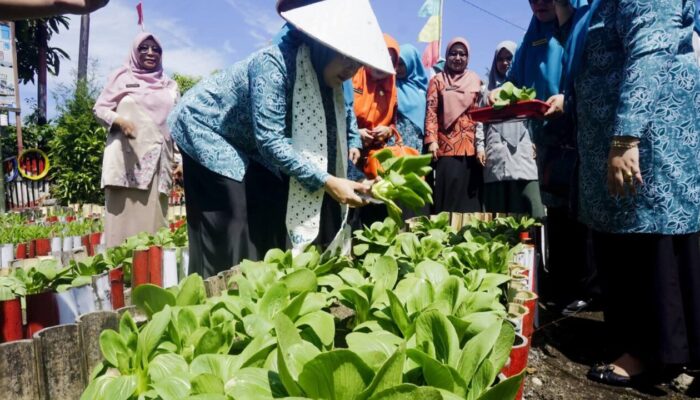 Nagari Lingkuang Aua Bandarajo Pasaman Barat Dinilai TP-PKK Sumbar