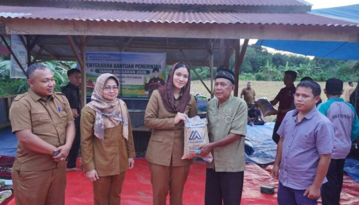 Bupati Dharmasraya Serahkan 14 Unit Mesin Bajak dan 96 Ton Benih Padi Kepada Petani Sitiung