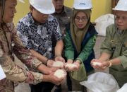 Cek Kualitas Beras CPP di Gudang Bulog Kota Padang, Kadisperta: Kami Tak Mau Asal Terima Bantuan!