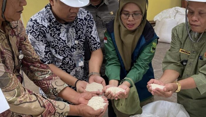 Cek Kualitas Beras CPP di Gudang Bulog Kota Padang, Kadisperta: Kami Tak Mau Asal Terima Bantuan!