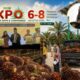 Dinilai Peduli Kesejahteraan Petani Sawit, Bupati Annisa Terima Penghargaan SIEXPO Awards 2026