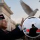 Anggaran Bencana Dicari, Pemerintah Malah “Lepas” Rp305 Juta Hanya untuk Beli Burung Merpati