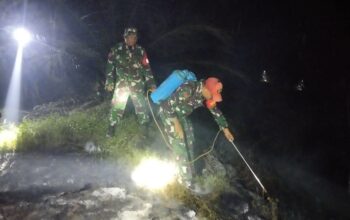 Kebakaran Hutan dan Lahan Merambah ke Dharmasraya, 3 Lokasi Berhasil Dipadamkan