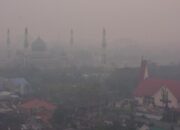 Kualitas Udara Pekanbaru Sudah Berbahaya, Kabut Asap Kebakaran Hutan Makin Tebal