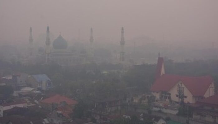 Kualitas Udara Pekanbaru Sudah Berbahaya, Kabut Asap Kebakaran Hutan Makin Tebal